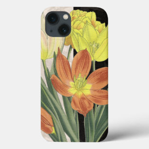 Coques Pour iPhone Pièce maîtresse II