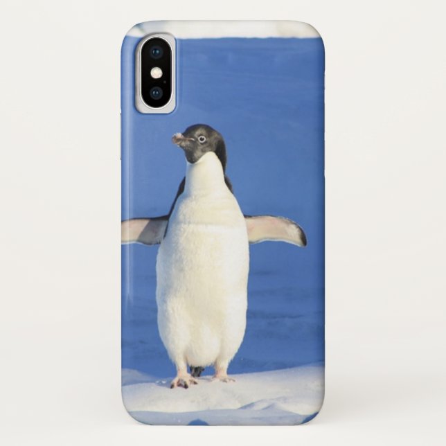 Coques Case-Mate iPhone Pingouin drôle sur la glace photo (Dos)