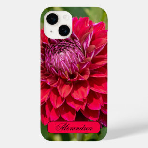 Coque Pour iPhone 14 Pink Dahlia, Belle Photographie Fleur