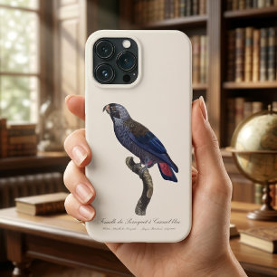 Case-Mate iPhone Case Pionus fuscus, Pione fuscus ou Pion gris-brun