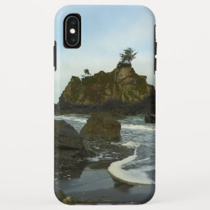Case-Mate iPhone Case Plage cachée II du parc national de Redwood