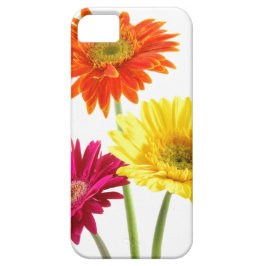 Case-Mate iPhone Case Plaisir de marguerite de Gerbera