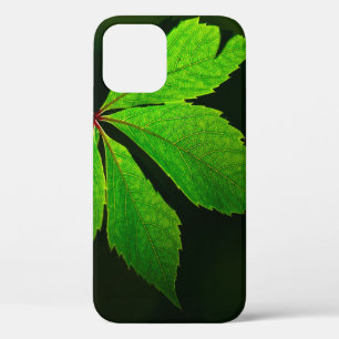 Case-Mate iPhone Case Plante de texture motif de la feuille