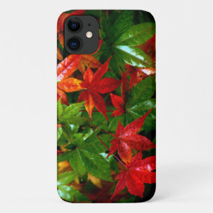 Case-Mate iPhone Case Pluie d'automne