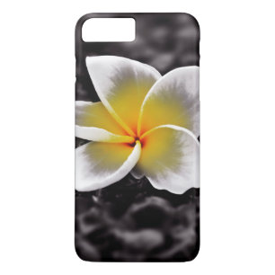 Coques Pour iPhone Plumeria Frangipani Hawaii