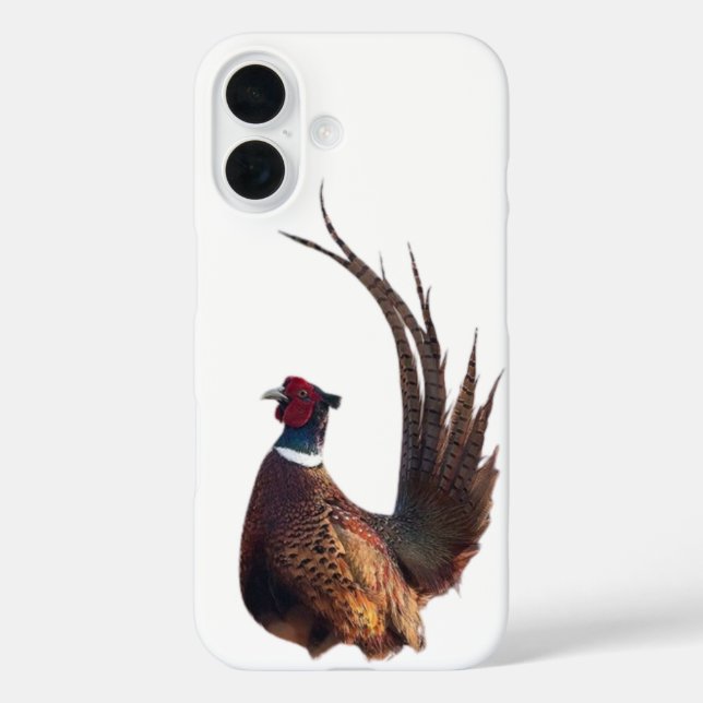 Coques Case-Mate iPhone Plumes de faisan (Verso)
