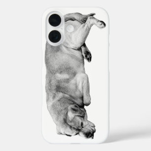 Coques iPhone 16 Poche