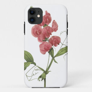 Coque iPhone 11 pois sucré pérenne par Redouté