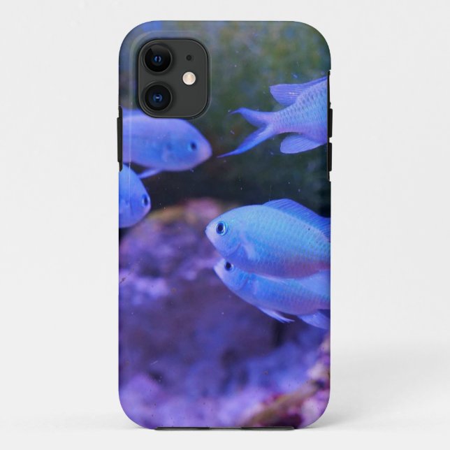 Coques Case-Mate iPhone Poisson bleu tropical (Dos)