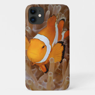 Case-Mate iPhone Case Poisson-clown - Molokai, falaise de la côte nord