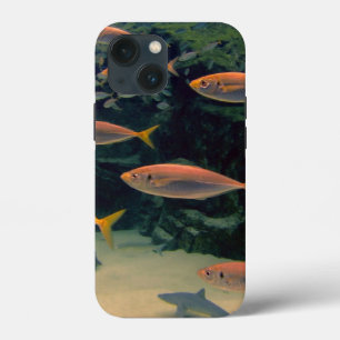 Case-Mate iPhone Case Poisson rose