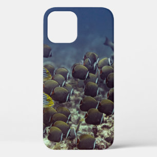 Case-Mate iPhone Case Poissons à la barrière de corail dans le fond océa
