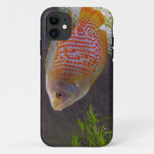 Case-Mate iPhone Case Poissons nains de Gourami