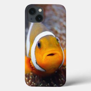 Etui iPhone Case-Mate Poissons tropicaux de récif - Clownfish
