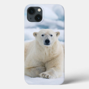 Coques Pour iPhone Polaires adultes concernent la banquise d'été