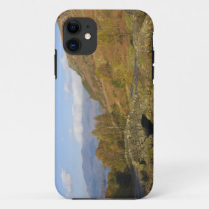 Coque Case-Mate Pour iPhone Pont Ashness, Lake District, Cumbria, Angleterre