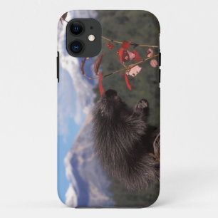Etui iPhone Case-Mate Porc-épic commun se nourrissant de canneberge en b