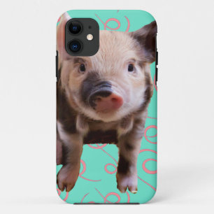 Coques Pour iPhone Porc mignon - remous de bleu et de rose