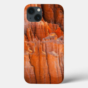 iPhone 13 Coque Porte-malheurs de roche dans la lumière de matin