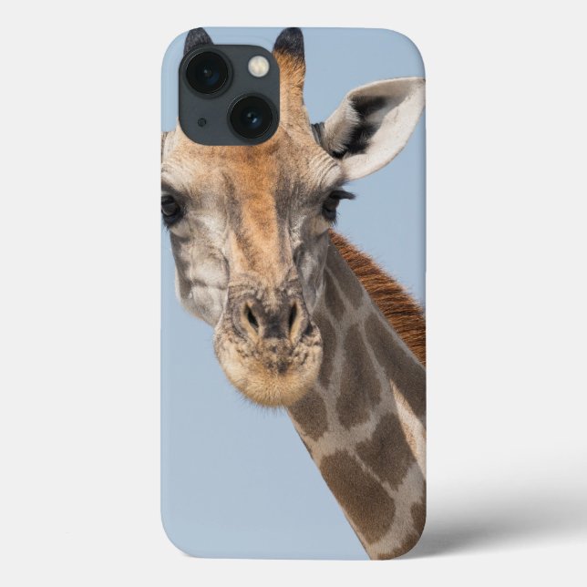 Coques Case-Mate iPhone Portrait d'Angolan Giraffe (Verso)
