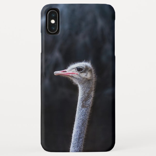 Coques Case-Mate iPhone portrait d'autruche (Dos)