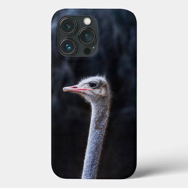 Coques Case-Mate iPhone portrait d'autruche (Verso)