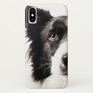 Coques Pour iPhone Portrait de border collie
