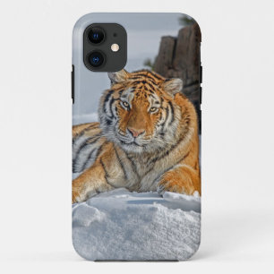 Coque Case-Mate Pour iPhone Portrait de neige du tigre