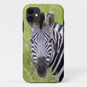 Coque Case-Mate Pour iPhone Portrait de zèbre des plaines, Hluhluwe-Umfolozi G