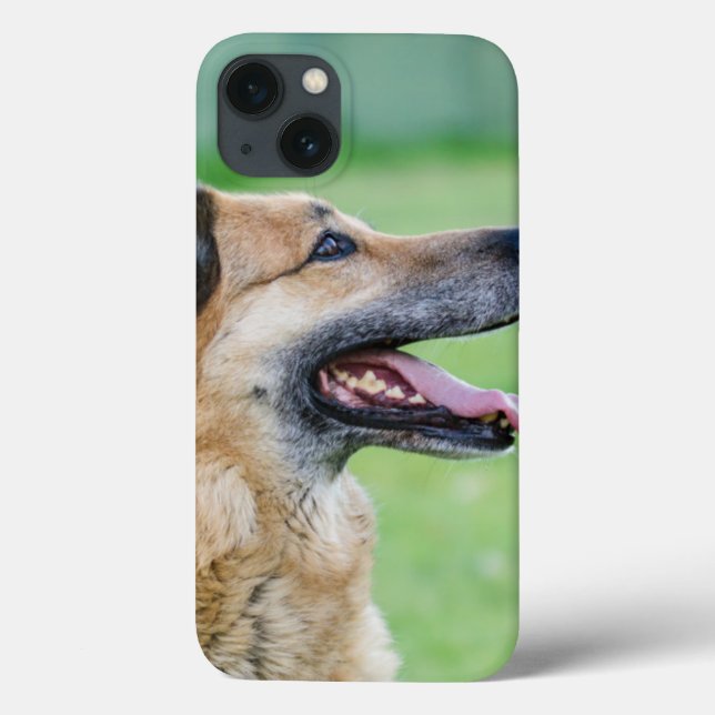 Coques Case-Mate iPhone Portrait latéral berger allemand (Verso)