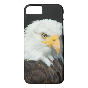 Coque iPhone 7 Portrait Majestic Bald Eagle