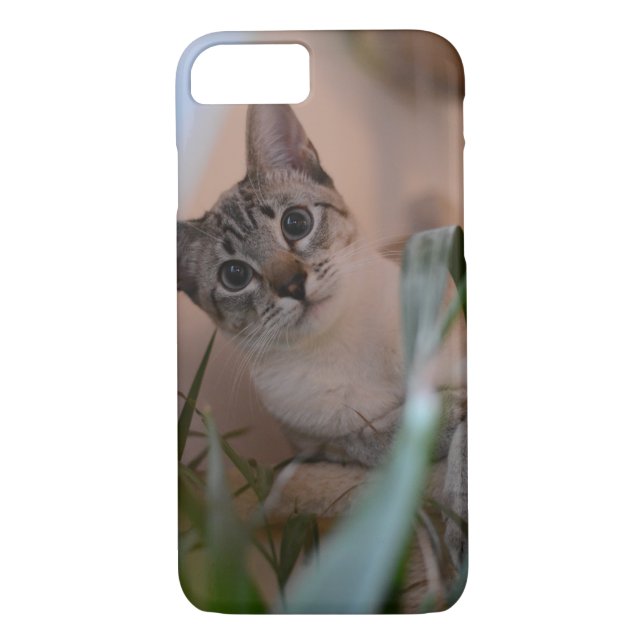 Coques Case-Mate iPhone Portrait mignon de photo de chat (Dos)