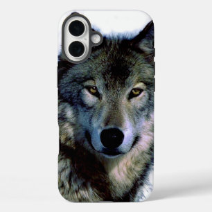 Coques iPhone 16 Plus Portrait Wolf
