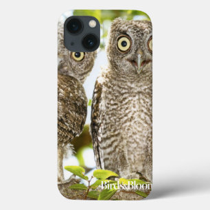 Etui iPhone 13 Poussins de hiboux de cri strident