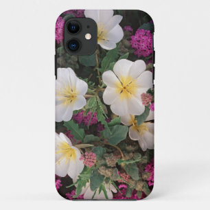 Coques Pour iPhone Primevère du désert du soir et Verveine des sables