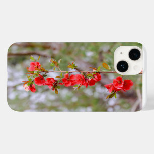 Coque Pour iPhone 14 Printemps florissant