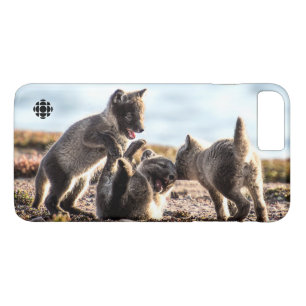 Case-Mate iPhone Case Printemps - Renard arctique