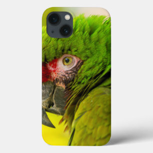 iPhone 13 Coque Profile of macaw at Santa Barbara Zoo