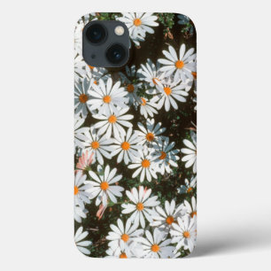 iPhone 13 Case Profusion Of White Daises (Asteraceae)