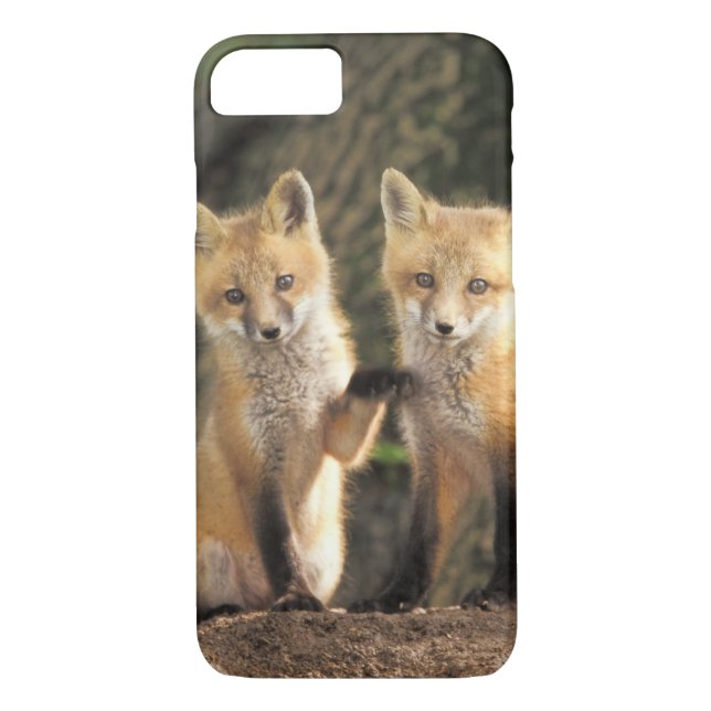 Coques Case-Mate iPhone Pup Red Fox devant den Vulpes vulpes) (Dos)