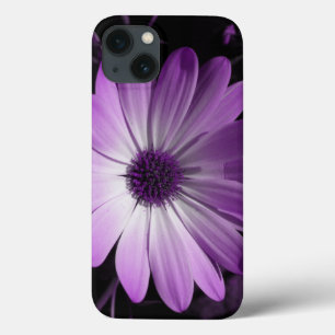 iPhone 13 Case Puple Daisy Flower iPhone Case