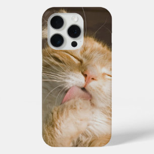 Coque iPhone 15 Pro Pure Bliss Maine Coon Cat Gros plan Photo
