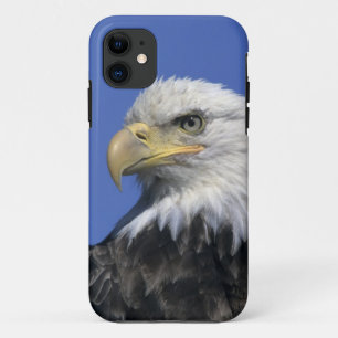 Coque Case-Mate Pour iPhone Pygargue à tête blanche, (Haliaeetus leucocephalus