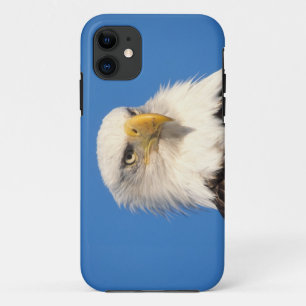 Coques Pour iPhone pygargue à tête blanche, Haliaeetus leucocephalus,