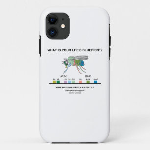 Coque iPhone 11 Quel est le modèle de la votre vie ? (Expression