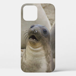Case-Mate iPhone CASE QUOI ? ? ?