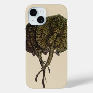 Coque Pour iPhone 15 Raies pastenagues, Animaux de la vie marine vintag