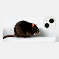 Rat iphcnm