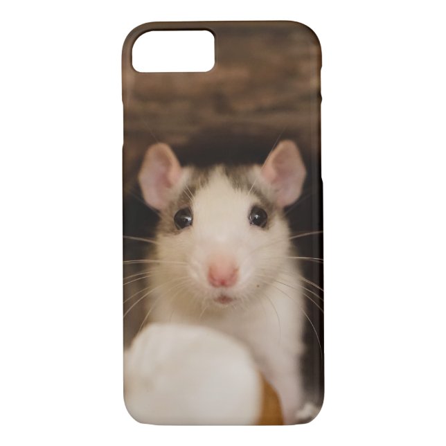 Coques Case-Mate iPhone Rat mignon (Dos)