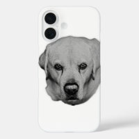 Recherche de poche